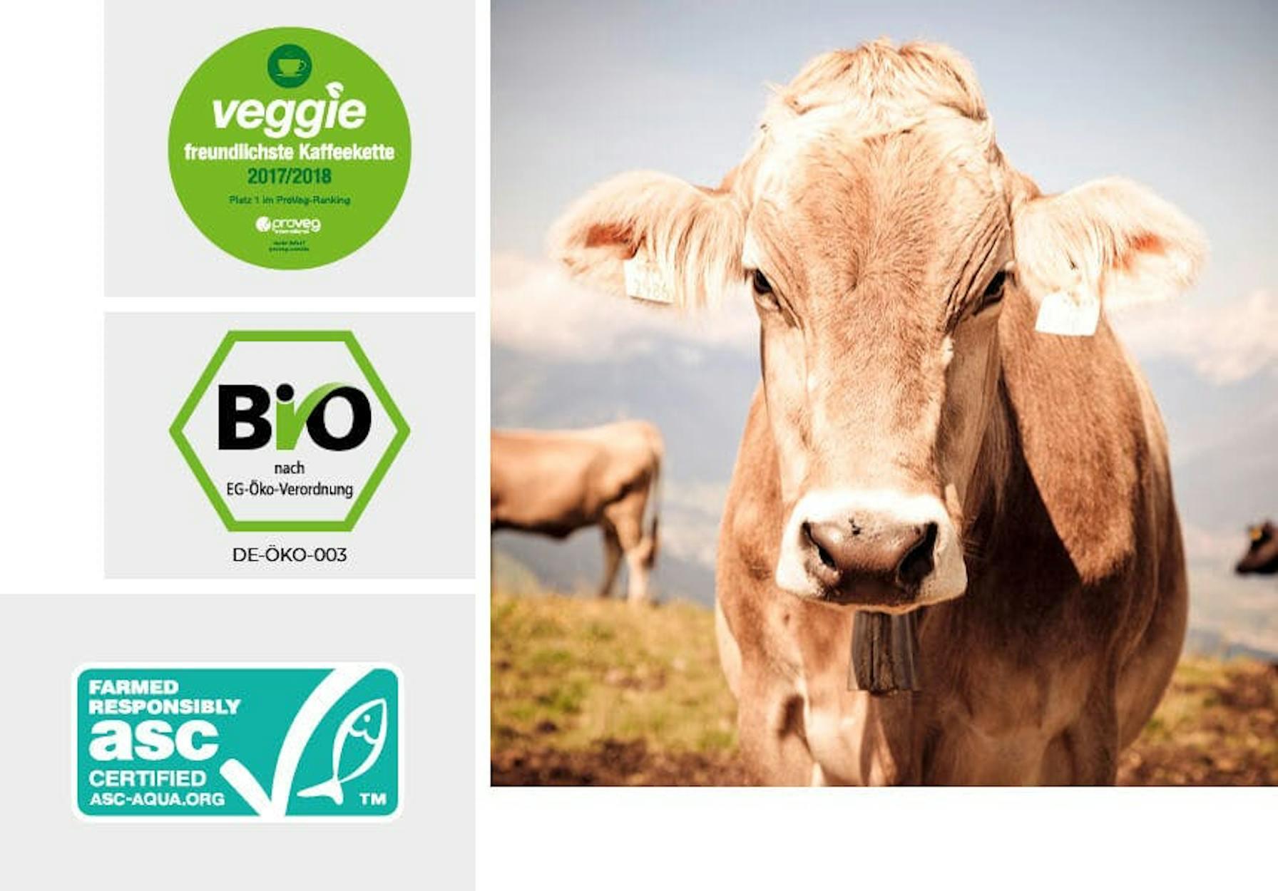 Collage mit veggie, bio und asc Zertifikat und eine Kuh